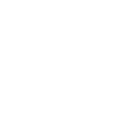 Zen Ranking Etronics Logo
